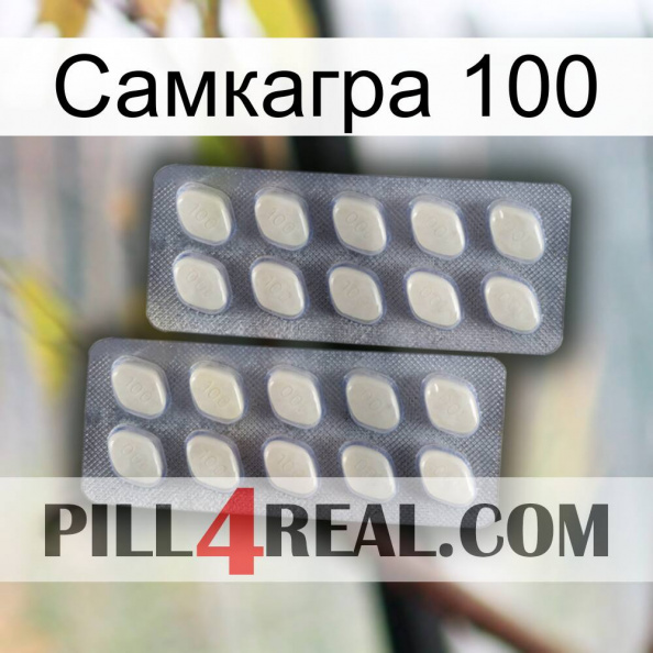 Самкагра 100 07.jpg